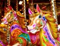 Carousel Hire